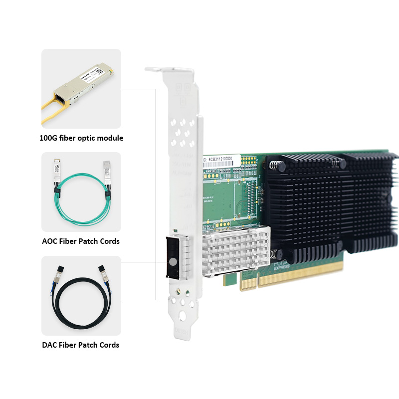 LR-LINK 1019PF-QSFP28 PCIe x16 - 100Gbe Qsfp28 Network Card 评论和价格